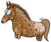Z-0013: Erlikokrackus