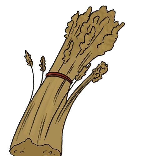Graan