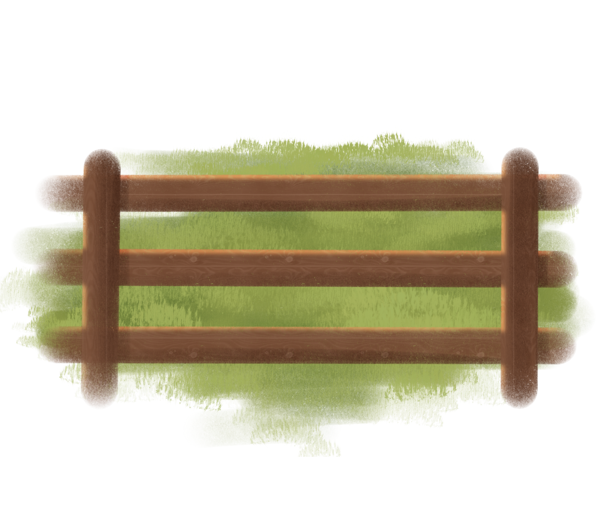 Gras paddock