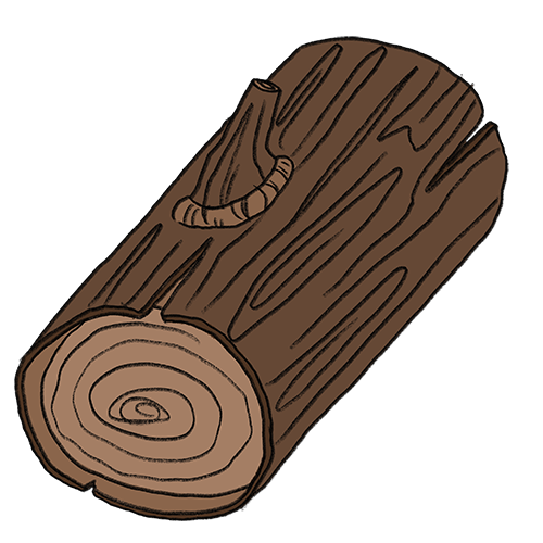 Hout