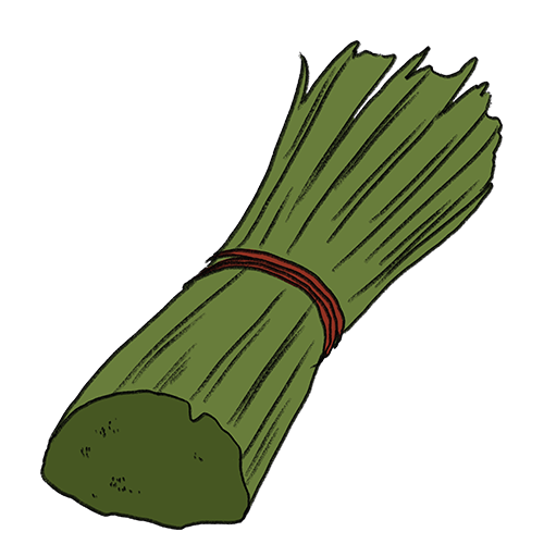 Gras