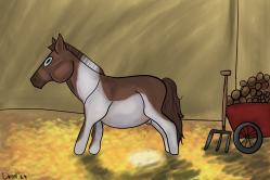 Submission thumbnail